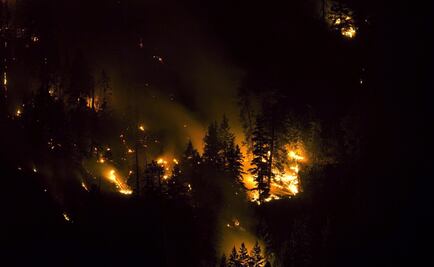 Mexican scientists create eco-friendly forest fire detectors