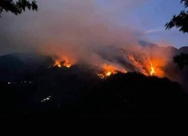 Al menos 16 incendios consumen bosques de Oaxaca; amenazan viviendas y zonas de selva de niebla