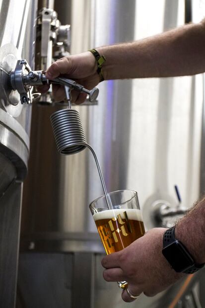 Día Internacional de la Cerveza: celébralo con un tour de catas en CDMX