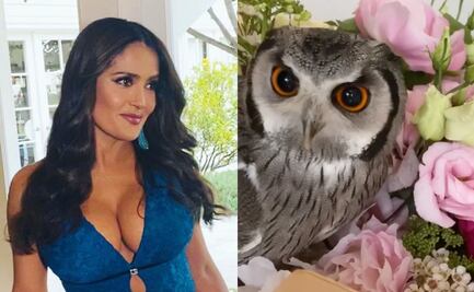 La foto más random que verás hoy: Salma Hayek con una lechuza en la cabeza