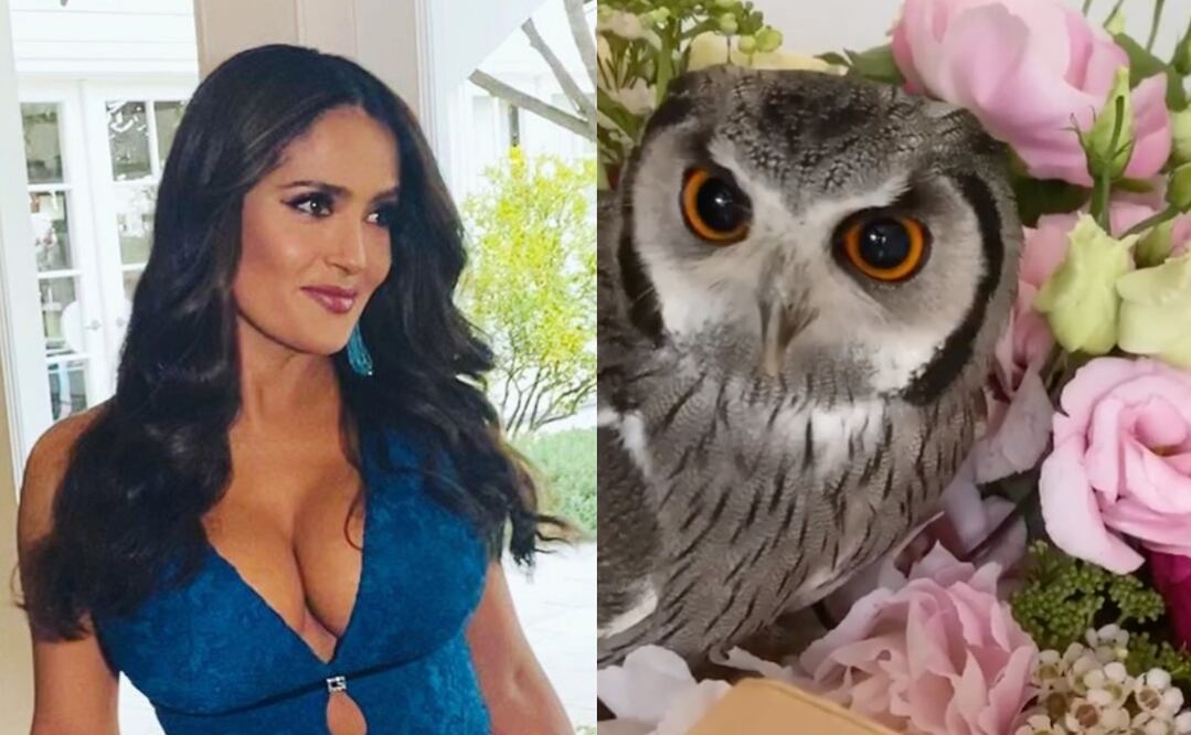 Salma Hayek no deja de encantarnos y comparte con nosotros sus foto más random  Foto: Instagram @salmahayek