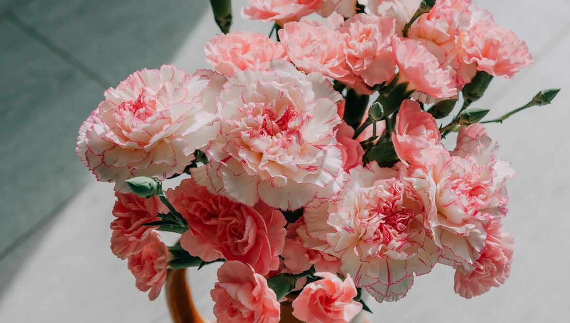Un abuelo sorprendió con flores a su enamorada. Fuente: Pexels.