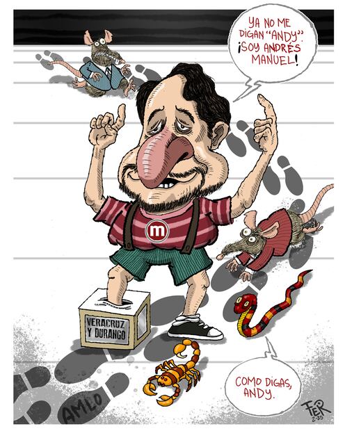 Cartón de FER
