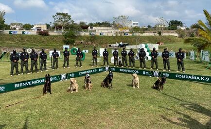 Anuncian diplomado internacional para oficiales caninos en Veracruz  