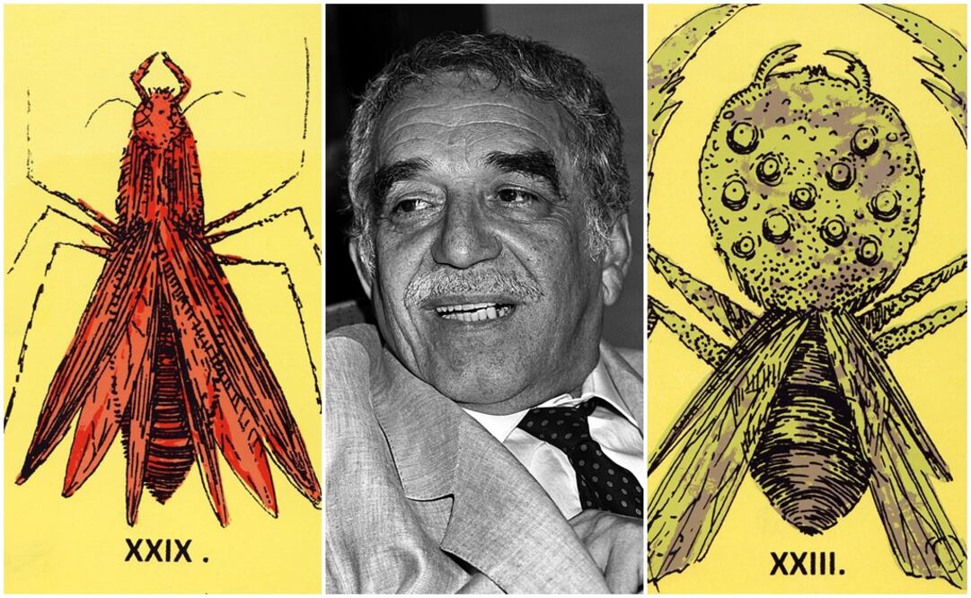 Fotos: Ilustraciones de inesctos, archivo El Universal / Retrato de Gabriel García Márquez, EFE/R. Castro, archivo