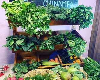 Alimentos que pueden enviarte a domicilio los chinamperos de Xochimilco