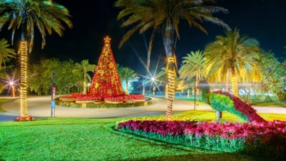 Cuánto cuestan los recorridos navideños en Jardines de México 
