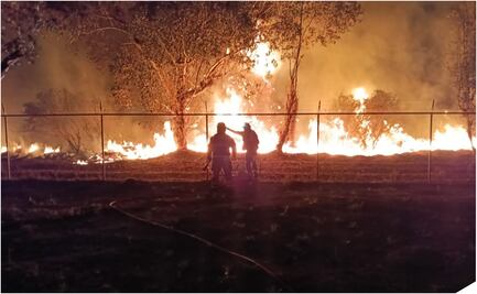 Incendio consume cinco hectáreas de la Reserva Ecológica de Xochimilco; no reportan personas lesionadas