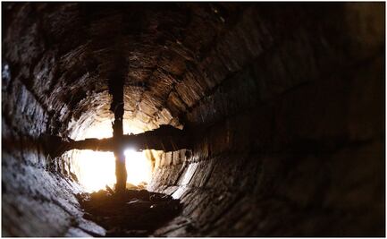 Otras principales operaciones de rescate de niños en las últimas décadas