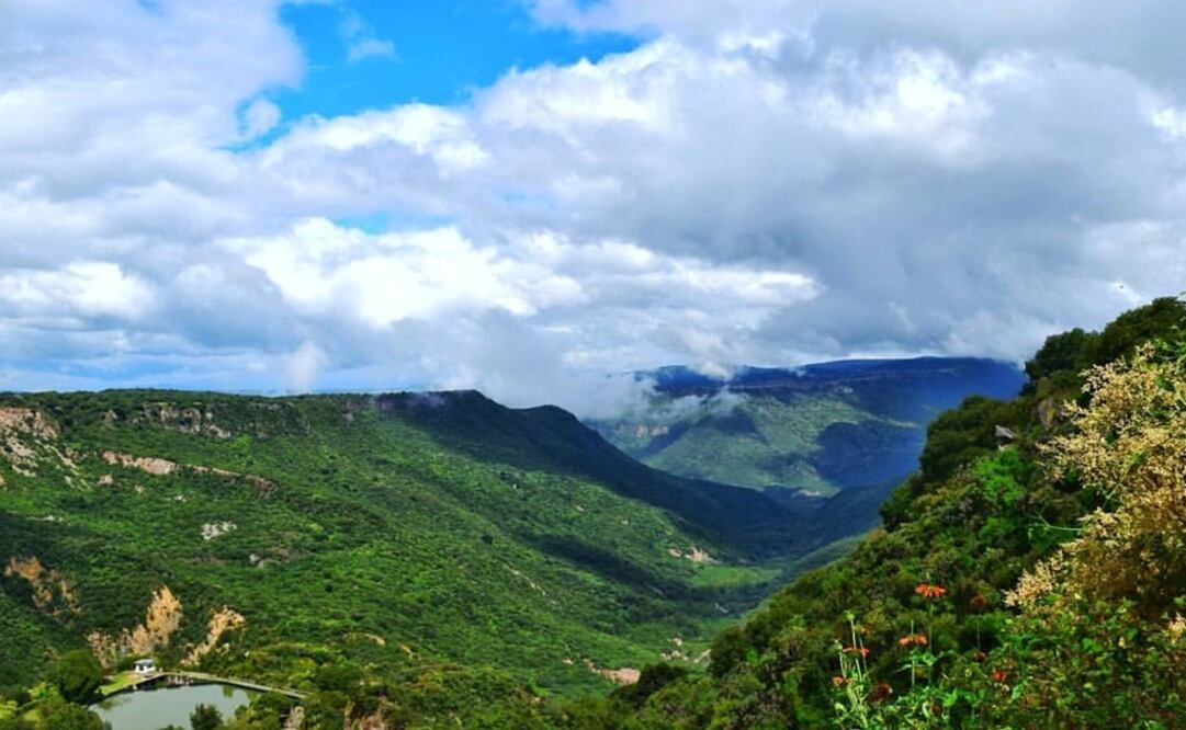 March 21 marks the International Day of Forests - Photo: Taken from Aguacatitla Ecoturismo's Facebook account