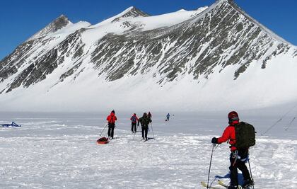 Descubren que peces evolucionan más rápido en aguas polares