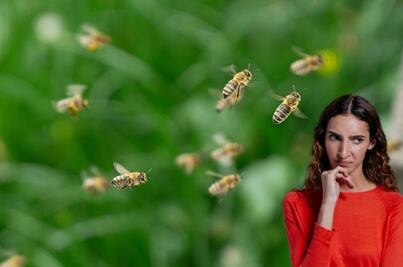 ¿Qué hacer en caso de ataque de abejas?; guía práctica de supervivencia