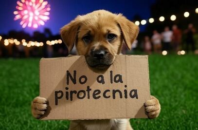 ¿Cómo proteger a tus mascotas durante la pirotecnia?: consejos para reducir el estrés y el miedo