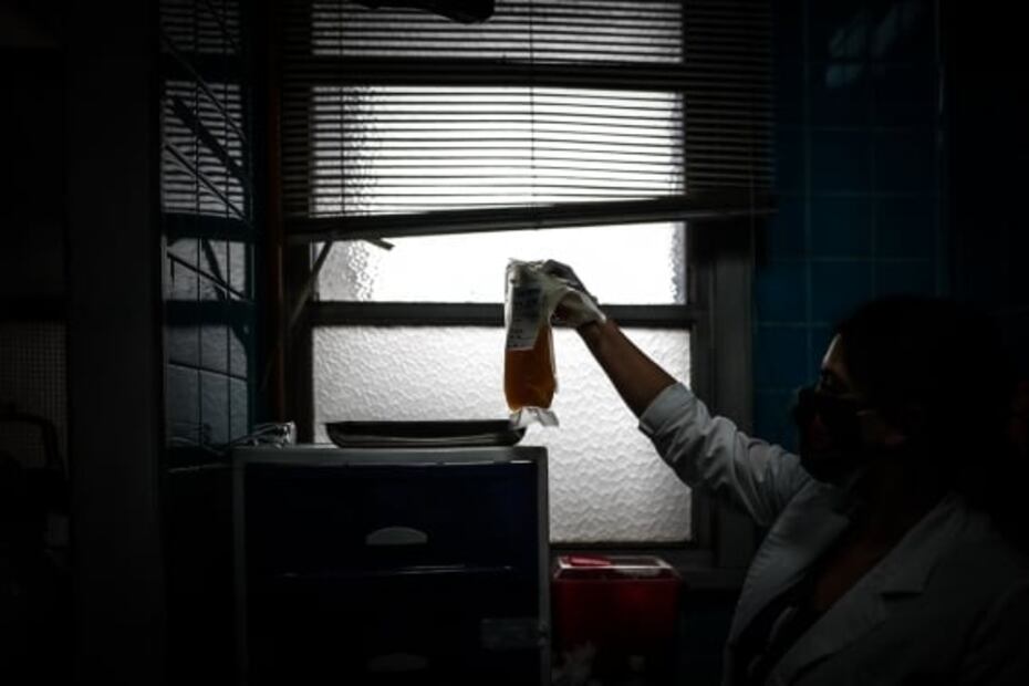 Pacientes de Covid-19 son tratados con suero obtenido de caballos