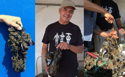 Conoce este vino marino