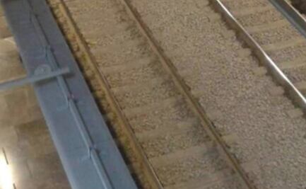 Muere una persona tras lanzarse a vías del Metro Pino Suárez