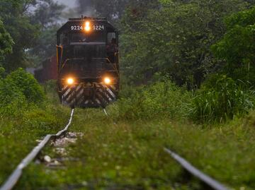 Detecta ASF irregularidades por mil 300 mdp en construcción de Tren Maya