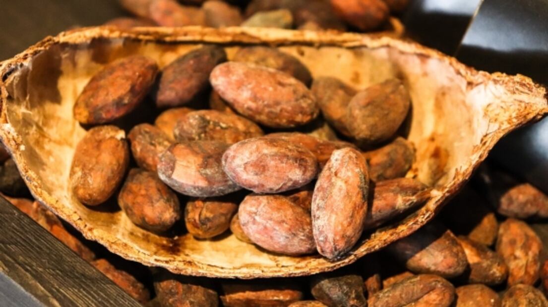 Prepara chocolate de metate tal como se hace en Ahuateno, Veracruz