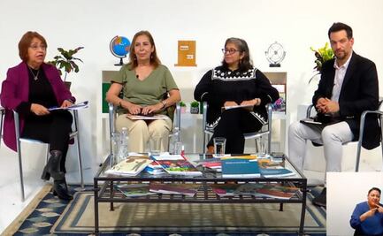 Piden no desaparecer Mejoredu; no duplica funciones, es delimitado y no debería incluirse en reforma: académicos