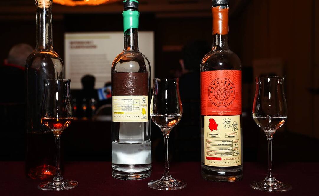 Fotos: Adriana Hernández