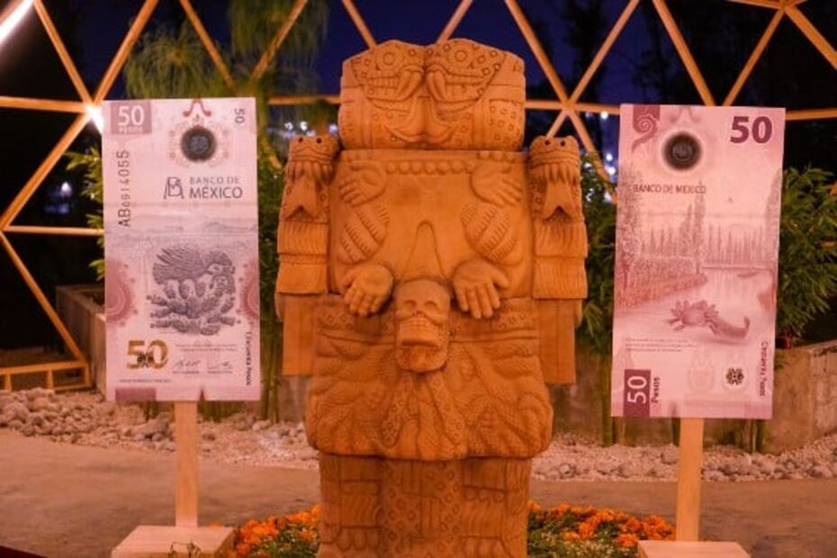 Por fin abre Axolotitlán, el Museo Nacional del Ajolote