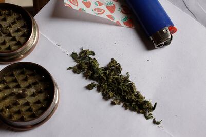 Desmantelan invernadero de marihuana en Monterrey