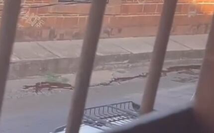 “Vean ese perro río de sangre”, difunden más videos de masacre en Michoacán 