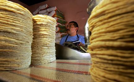 Secretaría de Economía y Sader descartan aumento al precio de tortilla