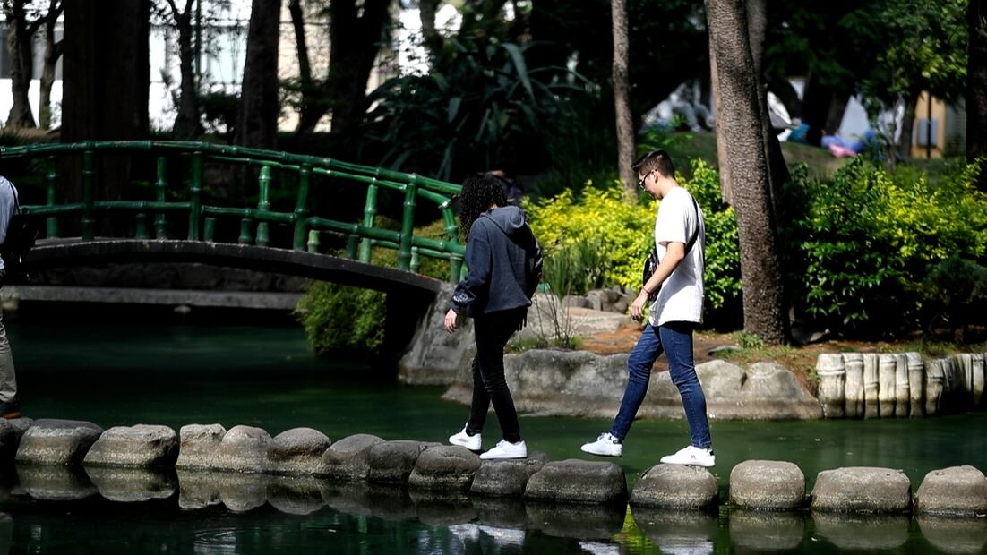 Conoce el portal que te transporta a Japón sin salir de la Ciudad de México, el parque Msayoshi Ohira