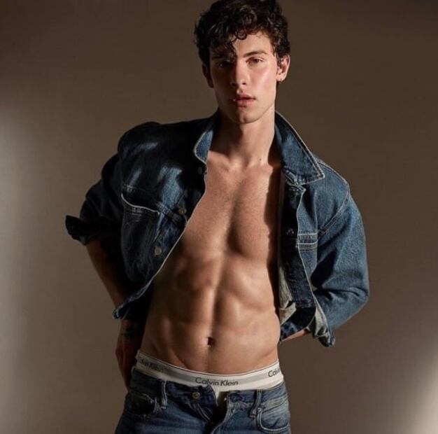 Shawn Mendes enciende las redes sociales con nueva campaña para Calvin Klein