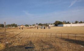 Reportan caída de globo aerostático en el Valle de Teotihuacán; hay lesionados