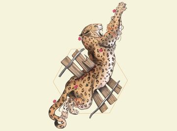 Defensa responde a trato de fauna en Tren Maya; “se protegen a animales con trato digno y respetuoso”, asegura