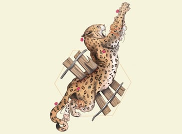 Tren Maya combate a jaguares y venados como fauna “nociva”; paga por ahuyentarlos o sacrificarlos