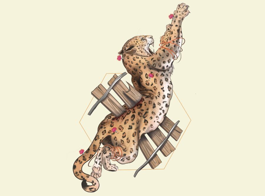 Tren Maya combate a jaguares y venados como fauna “nociva”; paga por ahuyentarlos o sacrificarlos. Ilustración de Lili Pedraza