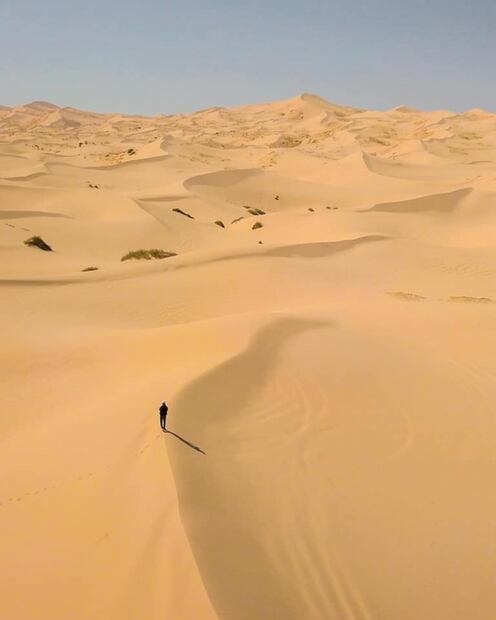 Haz sandboarding en las Dunas de Samalayuca, el lugar donde se filmó Dune