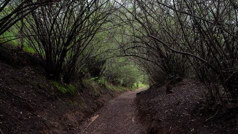 Cuándo es la noche de historias terror en Chapultepec