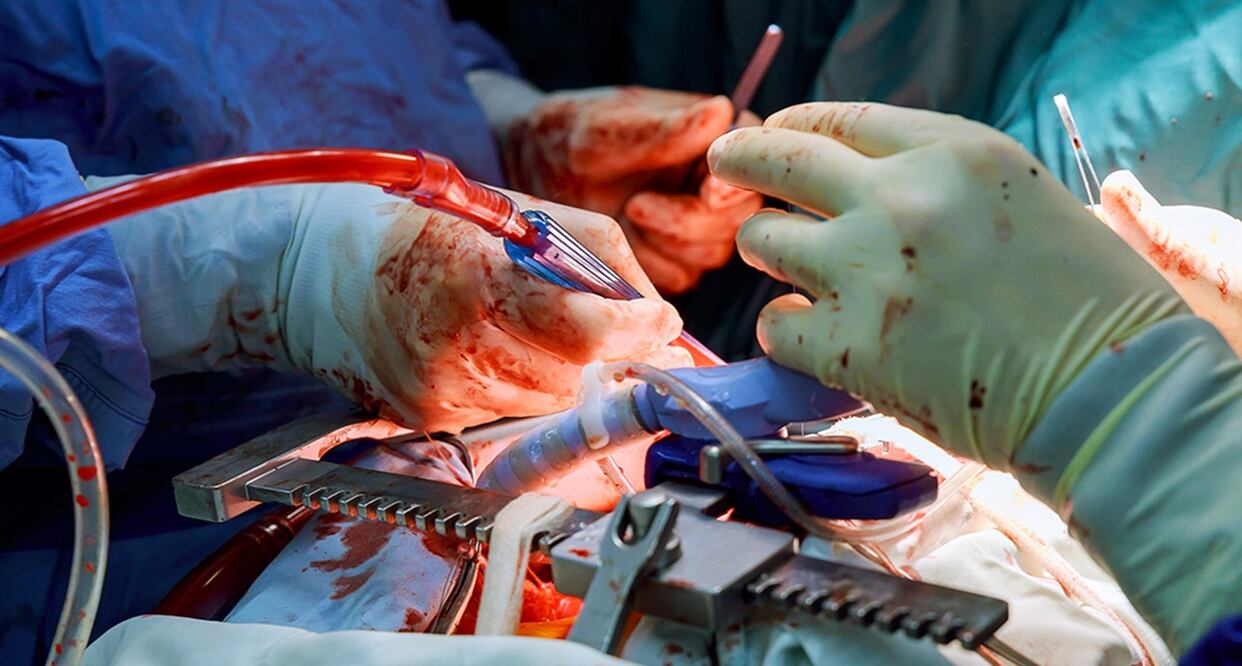 El cuerpo del mañana