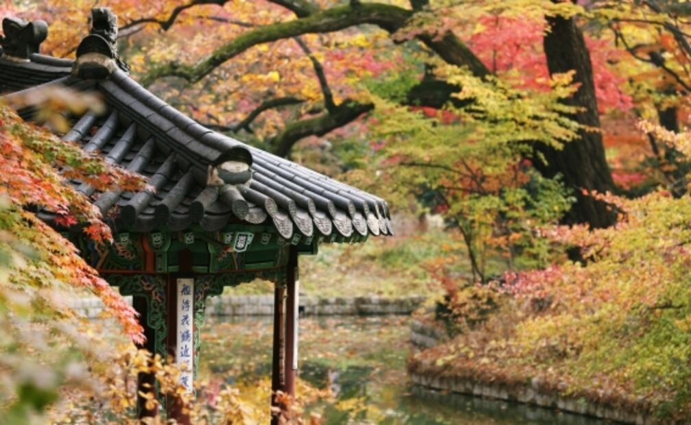 El Top 10 de los lugares para soñar con un viaje a Surcorea