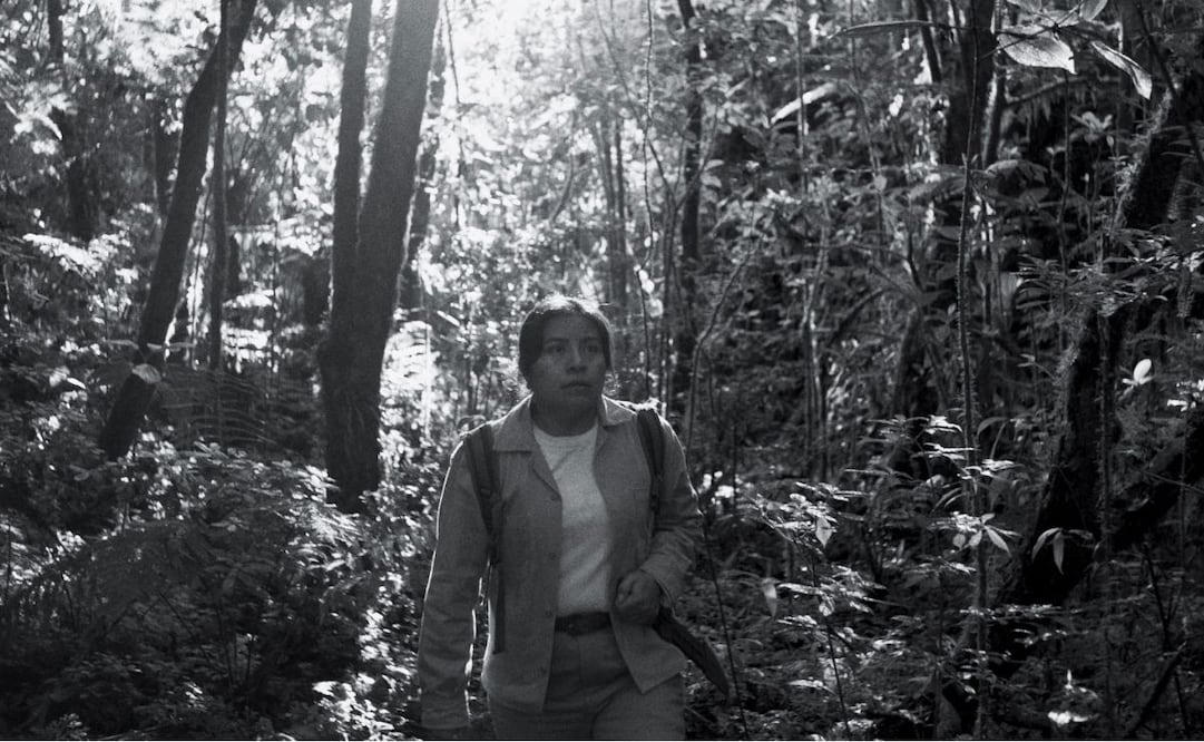 "La reserva" recibió un premio en el Festival Internacional de Cine de Morelia. Foto:  Pablo Pérez Lombardini