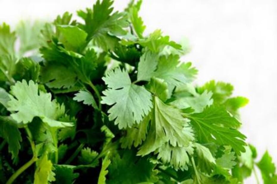 Los alimentos saludables más baratos