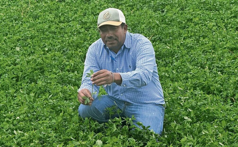 La lluvia permitió a los campesinos comprar menos vales de riego, que muchos no pueden pagar. Foto: Dinorath Mota / EL UNIVERSAL
