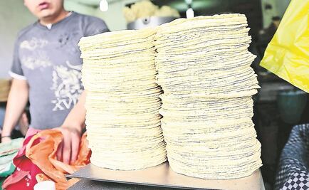 Por primera vez en 5 años, tortillas bajaron de precio en octubre