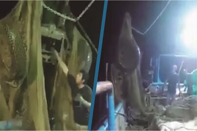 Video: Barco pesca automóvil en Mazatlán