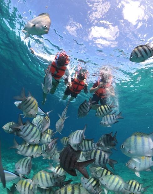 En Cozumel, cuánto cuesta un paseo a bordo del bote transparente