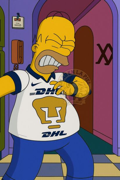 Pumas MEMES