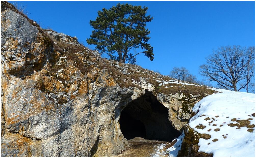 Se sabe que los antiguos humanos y neandertales cuidaban de sus enfermos. Foto: Pixabay