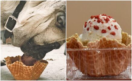 Crean helado sabor tocino para perritos