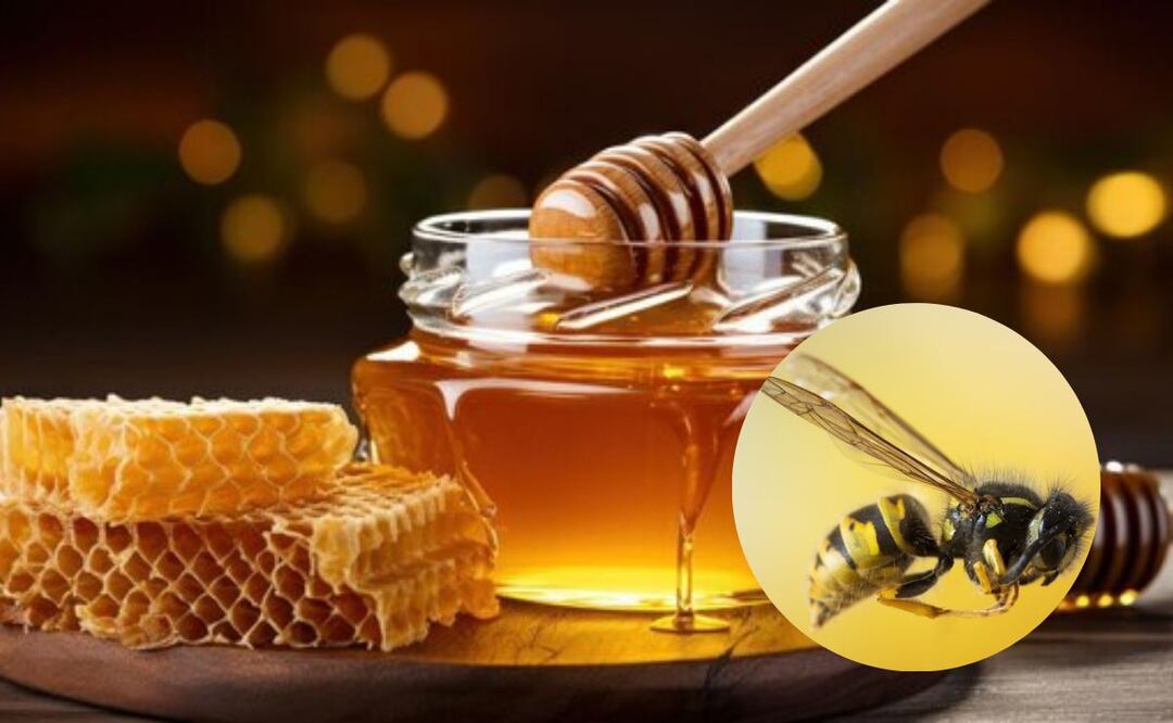 Su rol en los ecosistemas es crucial. Fuente: Freepik.