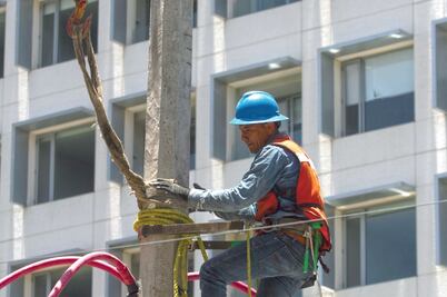 Regresa el SME; dará servicio de electricidad