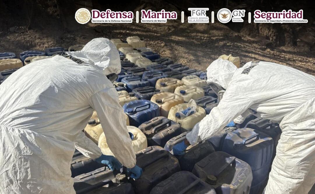 En el presente año se han desmantelado 38 laboratorios, casi 19 toneladas de metanfetaminas y casi 290 toneladas de sustancias químicas. Foto: tomada de X @OHarfuch